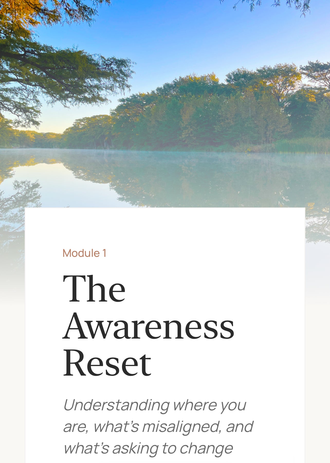 The Reset Clarity Guided Experience™